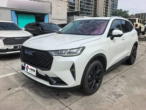 Haval H6 2021 third generation 2.0T automatic four-wheel drive Max