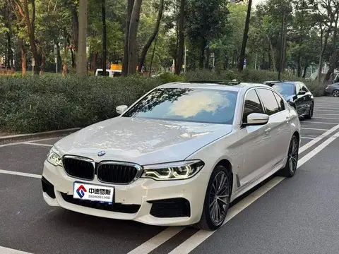 BMW 5 Serie 2020 530Li Leading M Sport Package