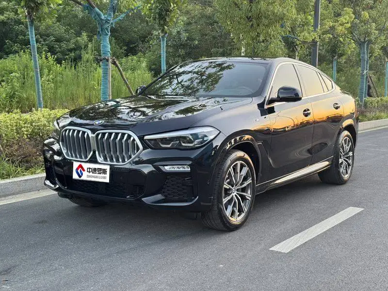 BMW X6 2020 xDrive30i M Sport Package