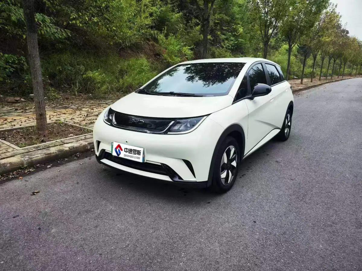 dolphin 2025 420km Freedom Edition