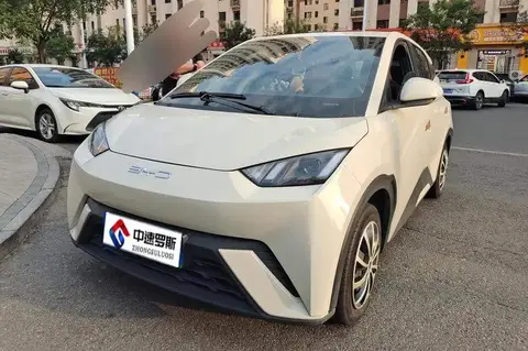 Seagull 2023 Vitality Edition