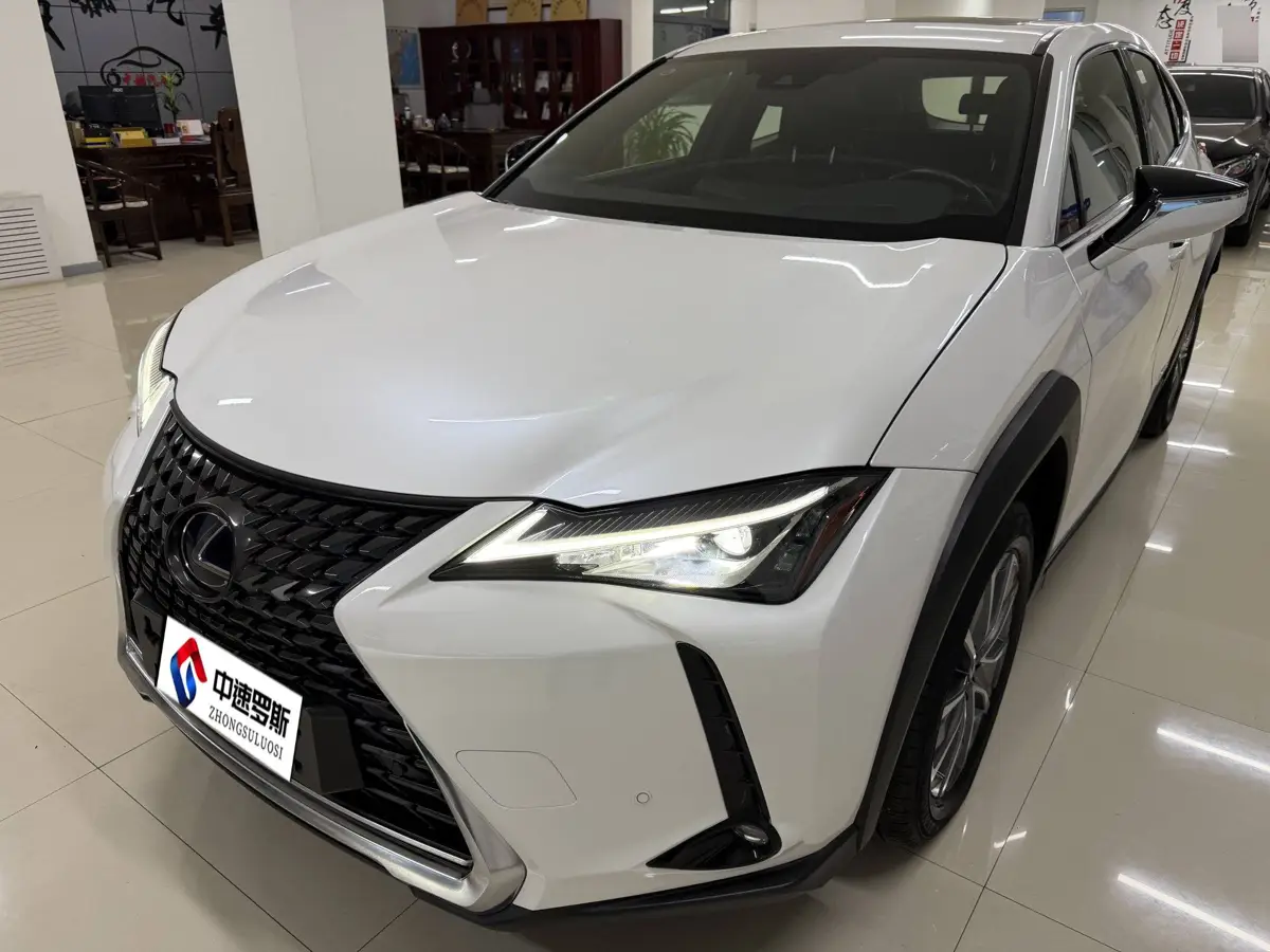 Lexus UX New Energy 2020 300e Pure Enjoyment Edition