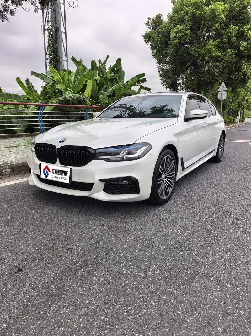 BMW 5 Dòng xe 2019 530Li Leading M Sport Package