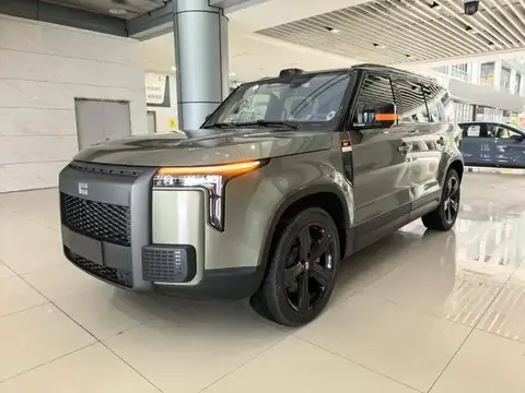 Extreme Stone 01 2024 Premium 6-seat Long-range Edition
