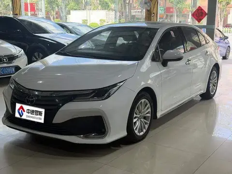 Asiatic Lion 2021 2.0L Premium Edition