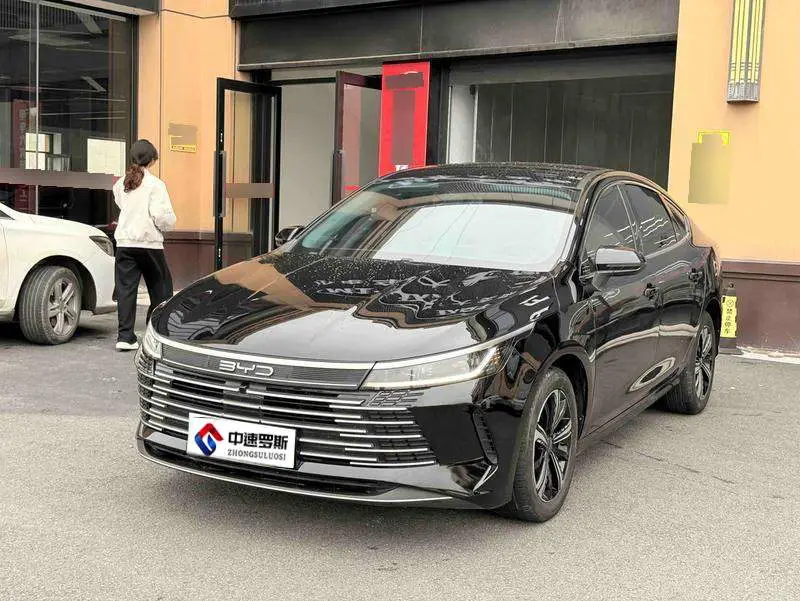 Destroyer 05 2024 Honor Edition DM-i 55KM Luxury