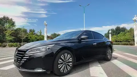 Tianlai 2024 2.0L SV Black Gold Edition