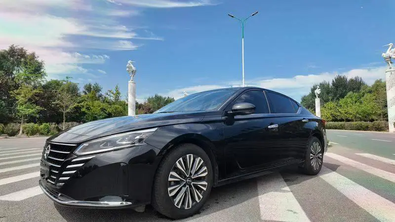 Tianlai 2024 2.0L SV Black Gold Edition