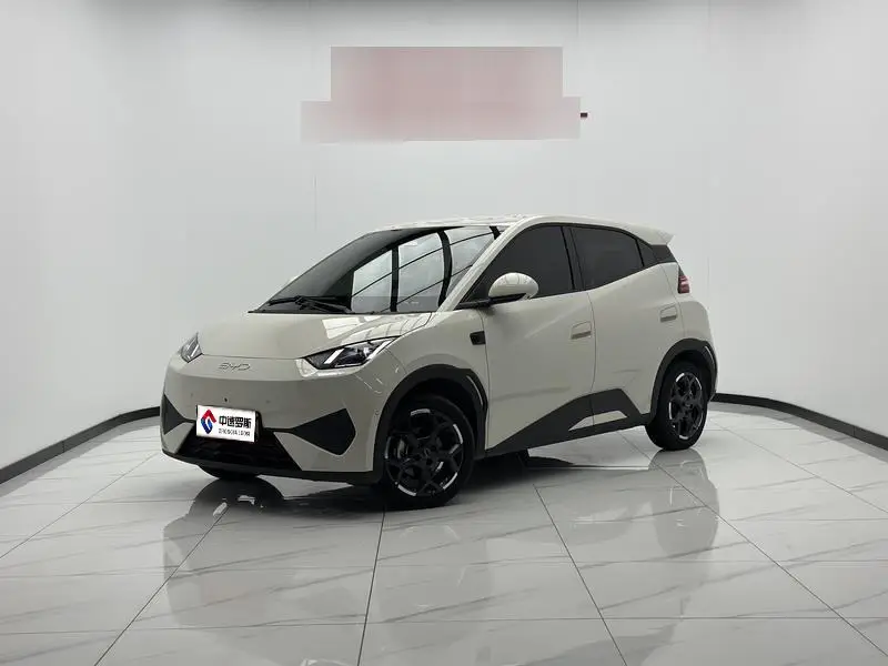 Seagull 2025 Smart Driving Edition 405км Flying Edition