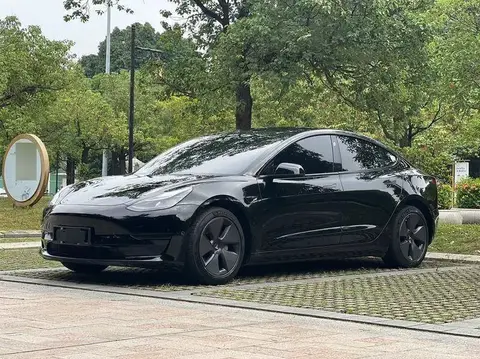 Модель 3 2021 Standard Range RWD Upgraded 3D6