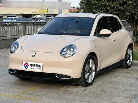 Ora Good Cat 2022 400km standard range luxury lithium iron phosphate
