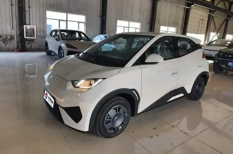Seagull 2025 Smart Driving Edition 305กม. Vitality Edition