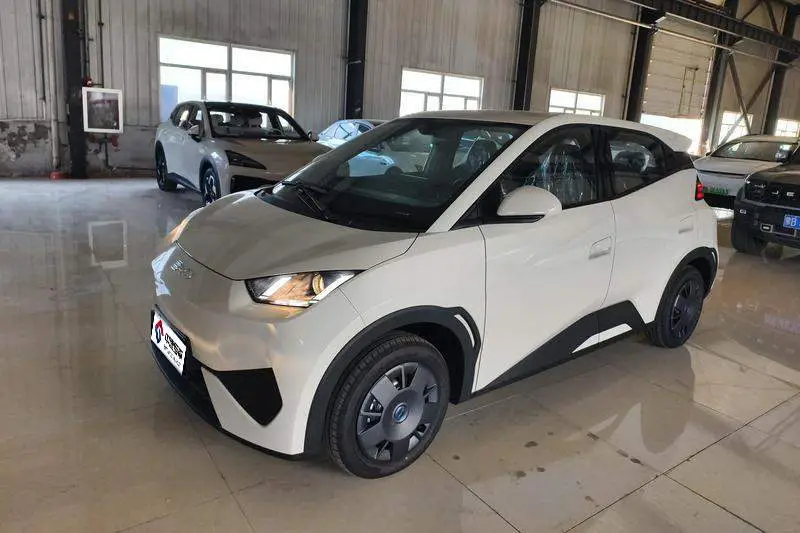 Seagull 2025 Smart Driving Edition 305km Vitality Edition