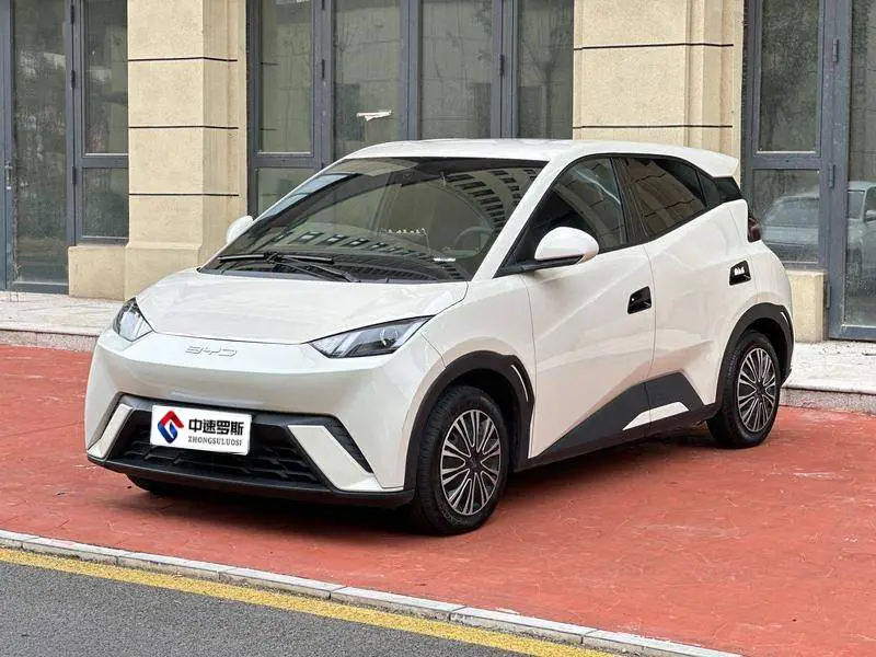 Seagull 2024 Glory Edition 305km Vitality Edition