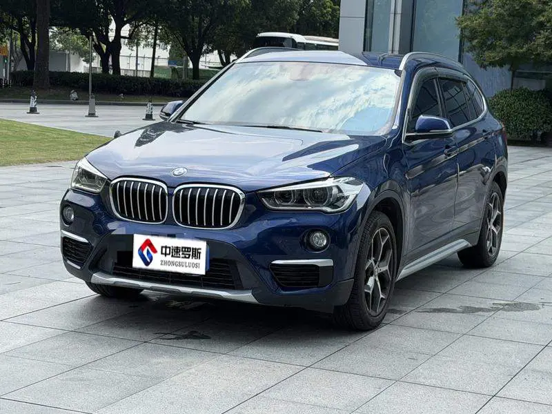BMW X1 2019 xDrive20Li Premium Edition