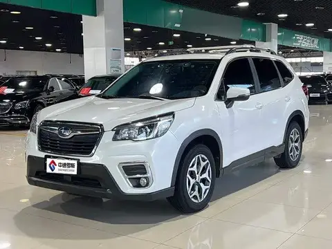 Forest Man 2019 2.0i Luxury Edition EyeSight