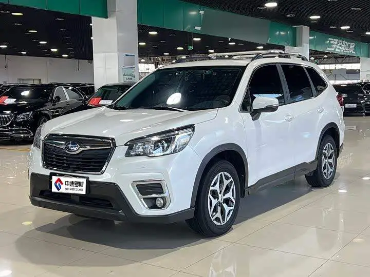 Forest Man 2019 2.0i Luxury Edition EyeSight