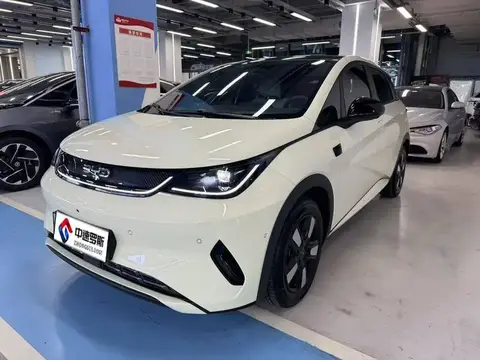 dolphin 2025 Smart Driving Edition 410กม. Fashion Edition