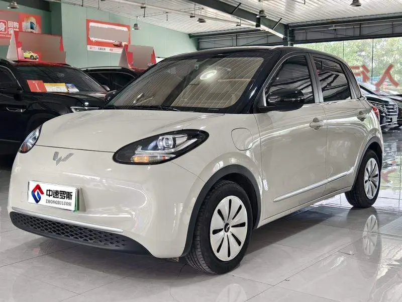 Wuling Bingo 2023 333km Express Edition