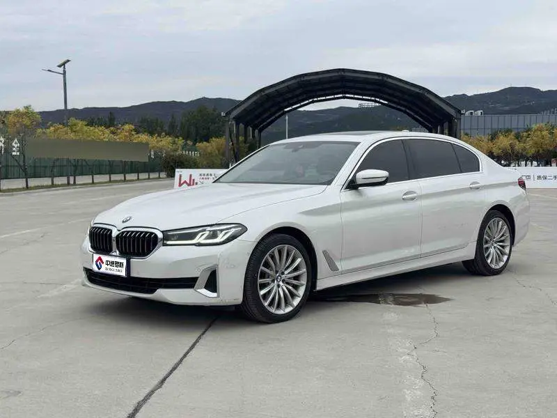 BMW 5 Series 2021 530Li Premium Luxury Package