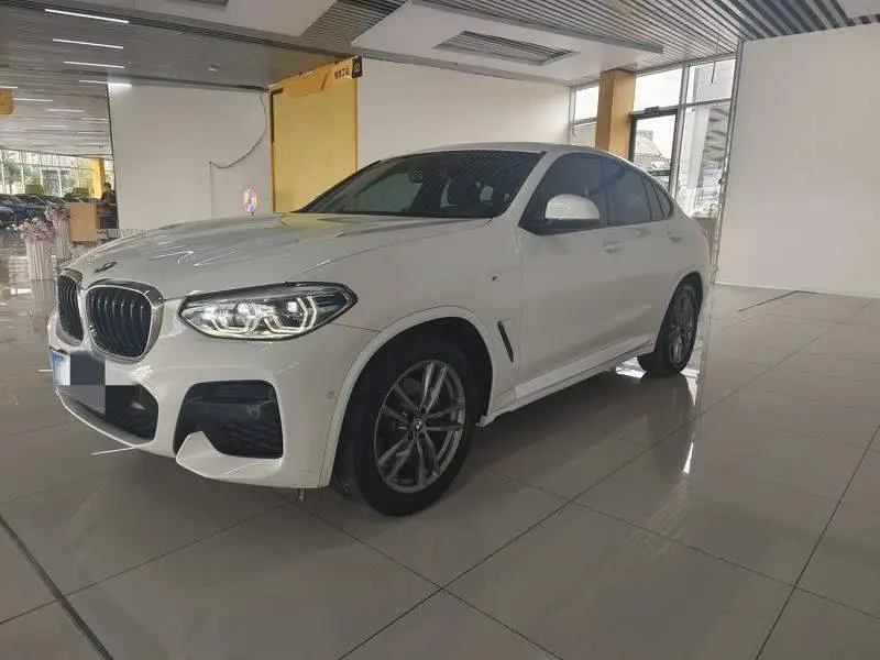 BMW X4 2019 xDrive25i M Sport Package