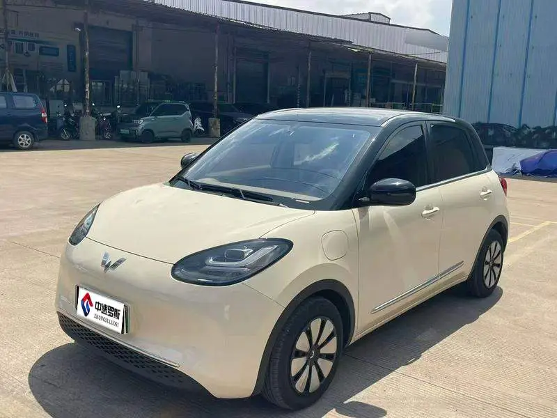 Wuling Bingo 2025 333km Lingxi Internet Model