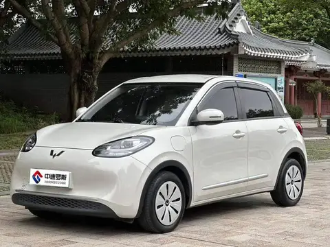 Wuling Bingo 2023 333km Enjoy+