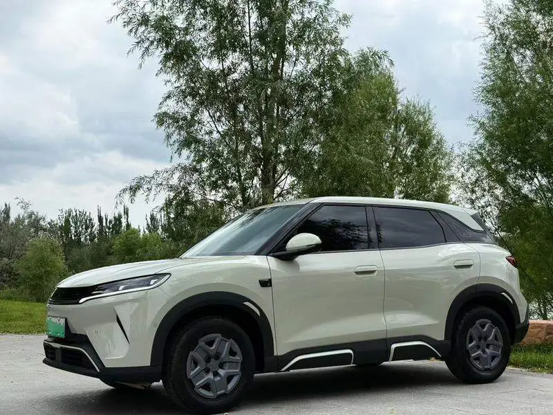 YuanUP 2025 Smart Driving Edition 401KM Vitality Edition