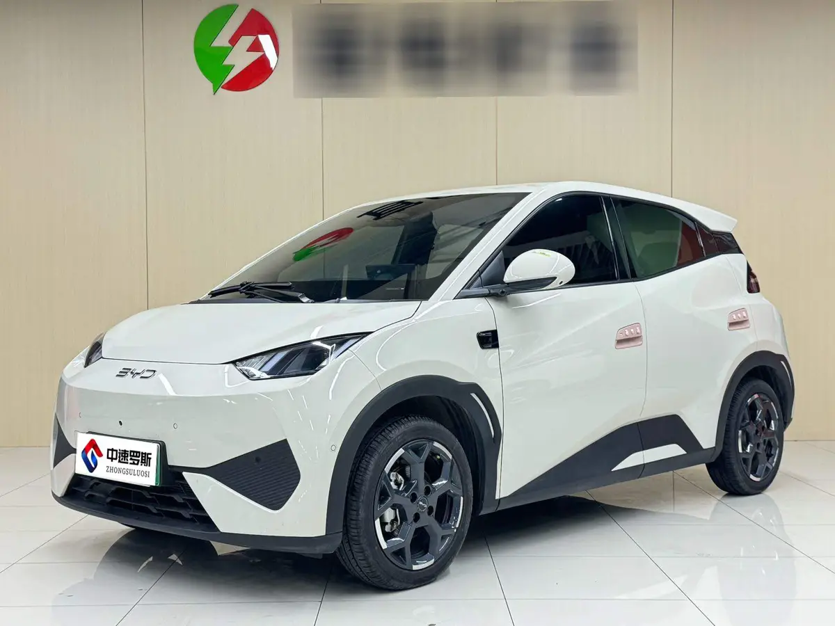 Seagull 2025 Smart Driving Edition 305km Free Edition