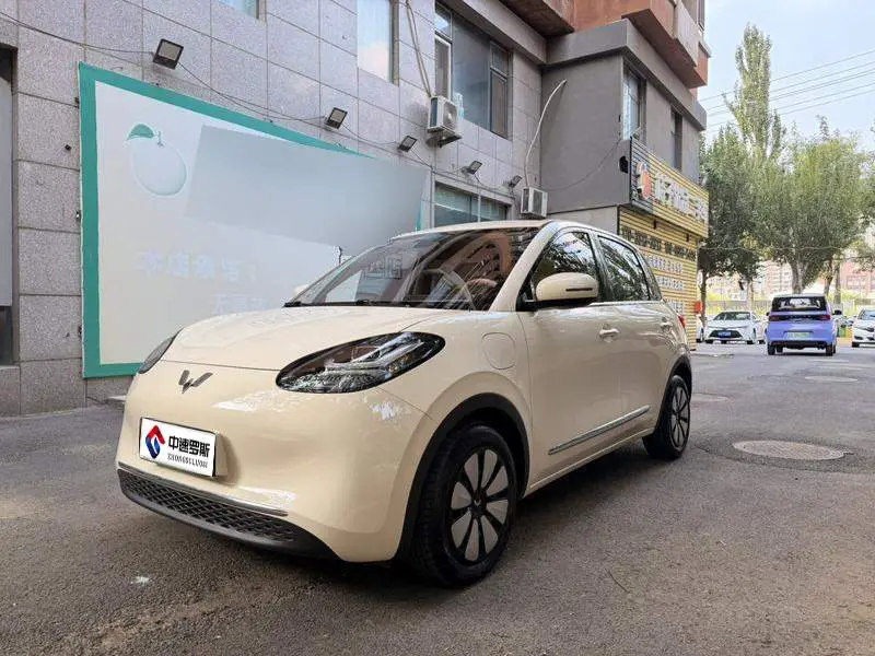 Wuling Bingo 2025 Model 333km Enjoy Edition