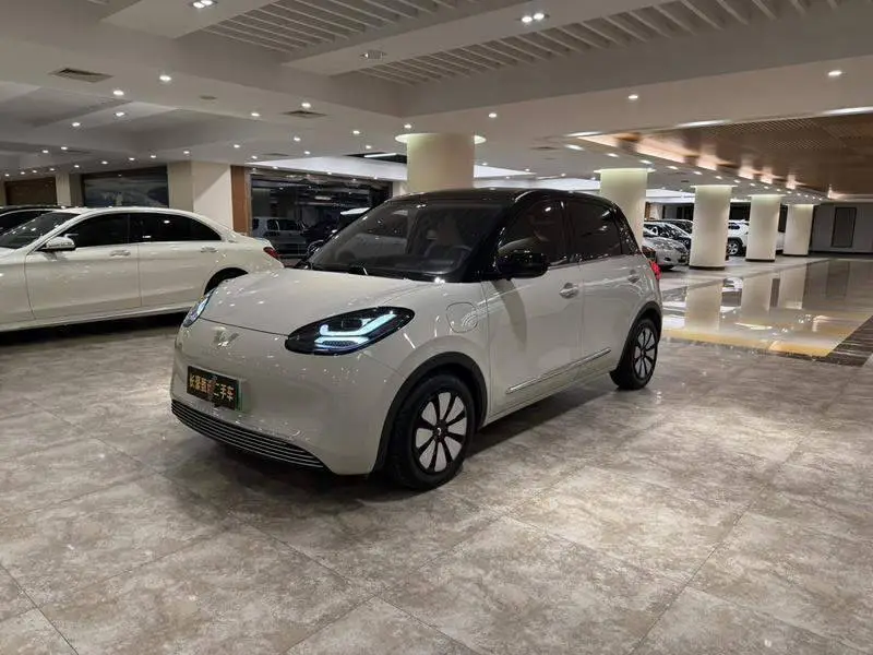 Wuling Bingo 2024 333km Enjoy Edition