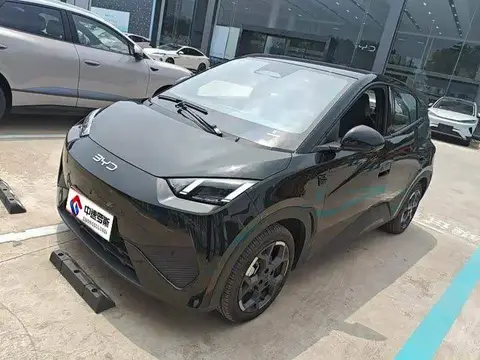 Seagull 2025 Smart Driving Edition 305km Free Edition