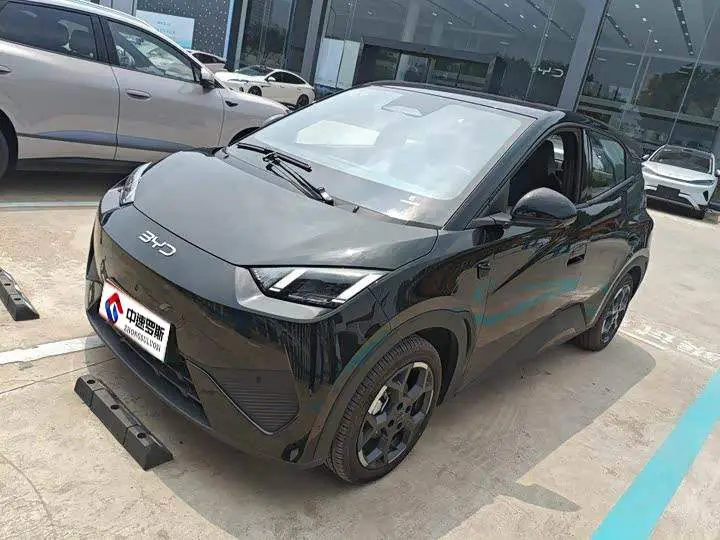 Seagull 2025 Smart Driving Edition 305km Free Edition