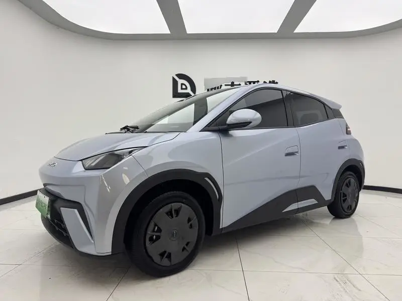Seagull 2025 305كم Vitality Edition