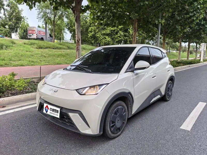 Seagull 2025 305km Vitality Edition