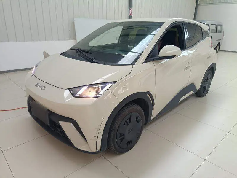 Seagull 2024 Glory Edition 305km Vitality Edition