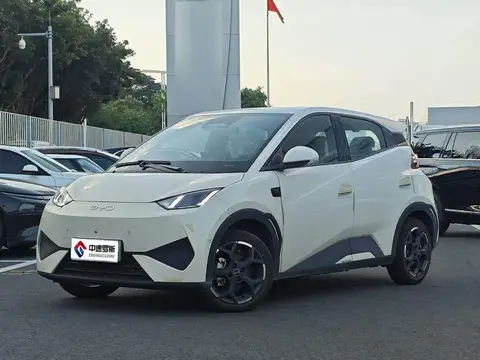 Seagull 2025 Smart Driving Edition 405km Flying Edition