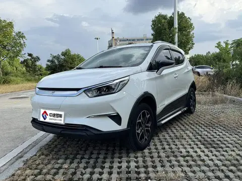 Yuan Pro 2021 Love for Life Edition