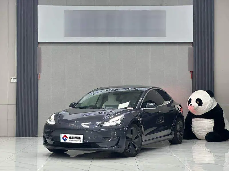 Model 3 2020 Long Range Rear-Wheel Drive Edition