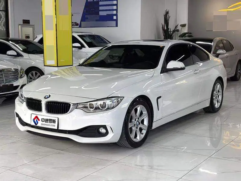BMW 4 Series 2014 420i Fashion Model
