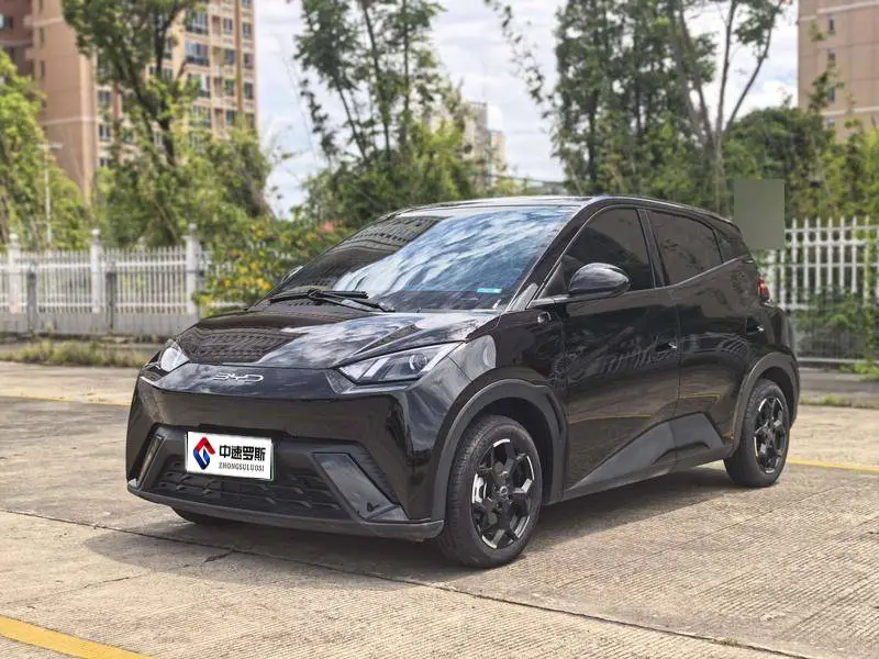 Seagull 2024 Glory Edition 305km Vitality Edition