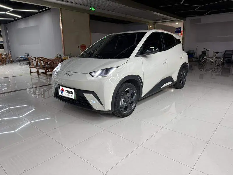 Seagull 2025 305كم Freedom Edition