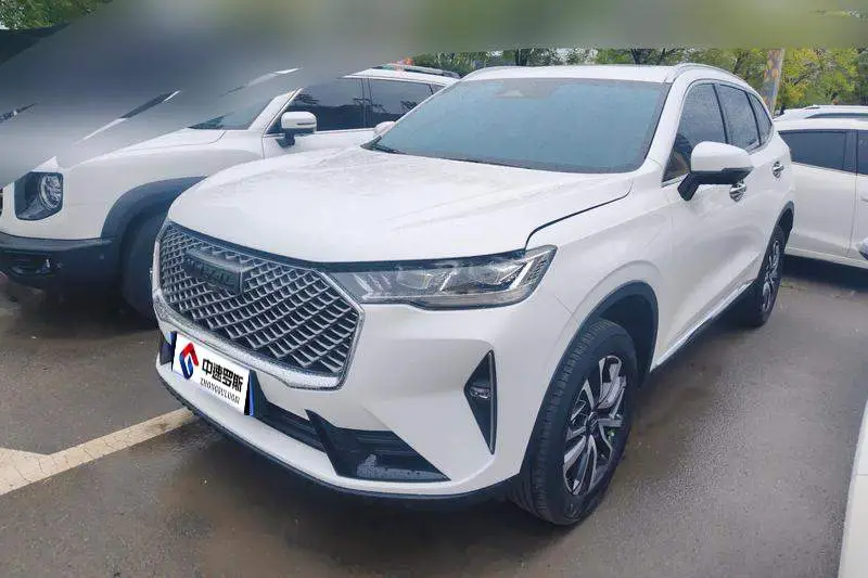 Haval H6 2022 third generation 1.5T automatic two-wheel drive Max