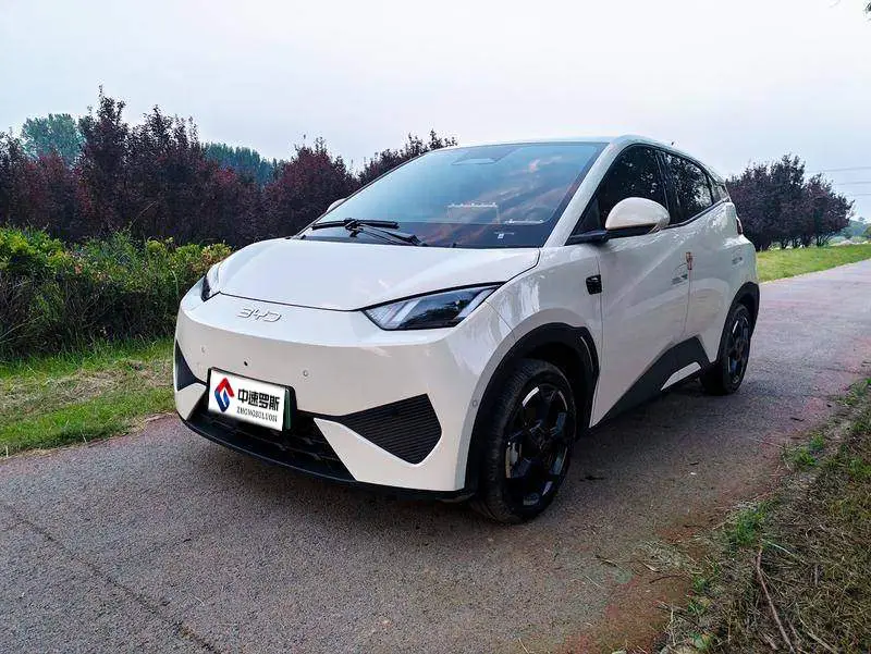 Seagull 2025 305km Vitality Edition