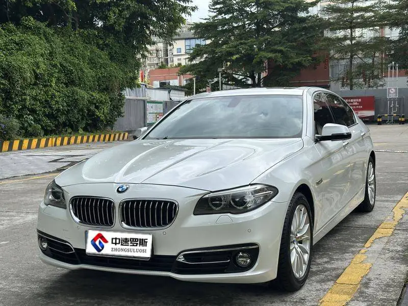 BMW 5 Series 2014 525Li Luxury Design Package