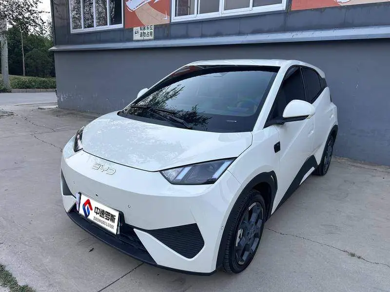Seagull 2025 Smart Driving Edition 305كم Free Edition