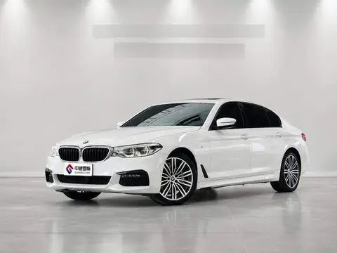 BMW 5 Series 2019 530Li Leading M Sport Package
