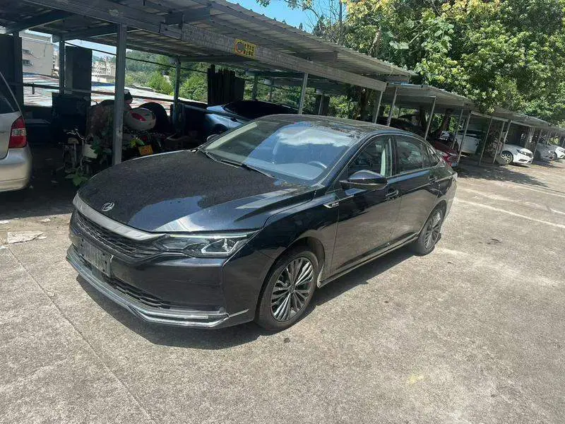 Yixuan 2022 230T Automatic Tiger Roar Edition