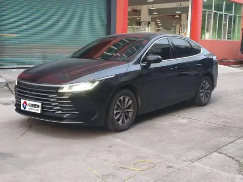 Destroyer 05 2024 Honor Edition DM-i 55KM Luxury