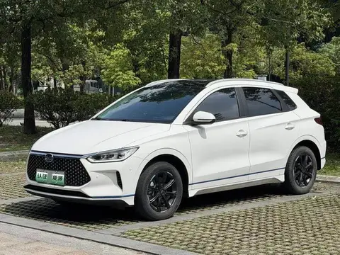 BYD e2 2020 Upgraded Version High-Endurance Premium Edition
